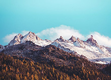 大乐透开奖结果-大发棋牌登录入口：开启安心娱乐的新纪元