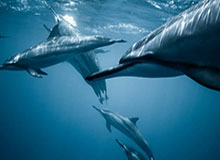 大乐透综合走势图-MK体育APP：让运动有温度的陪伴，守护你的每一次进步